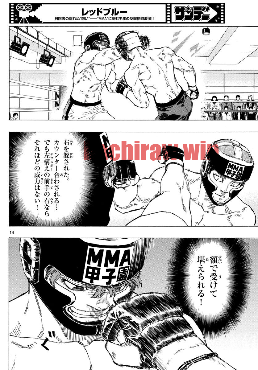 img 13