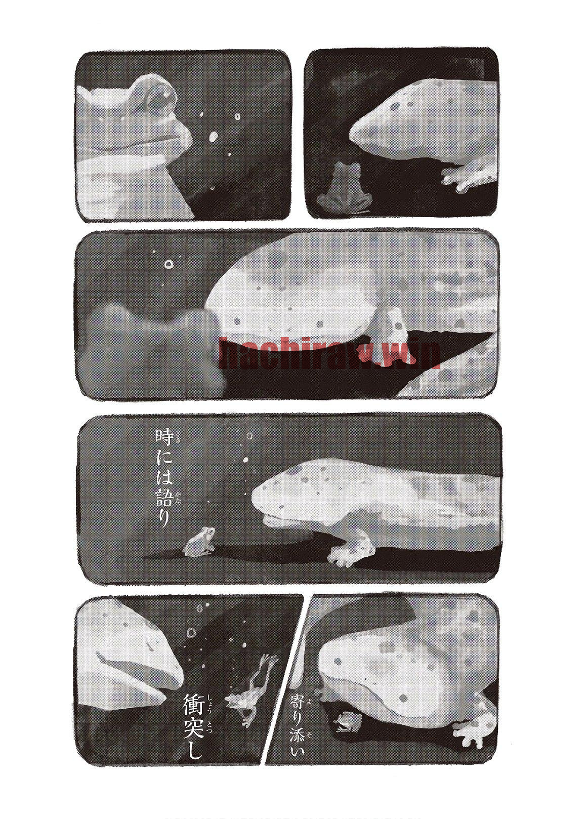 img 21