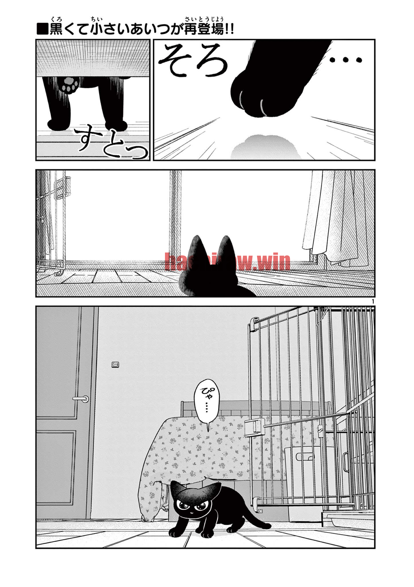 img 0