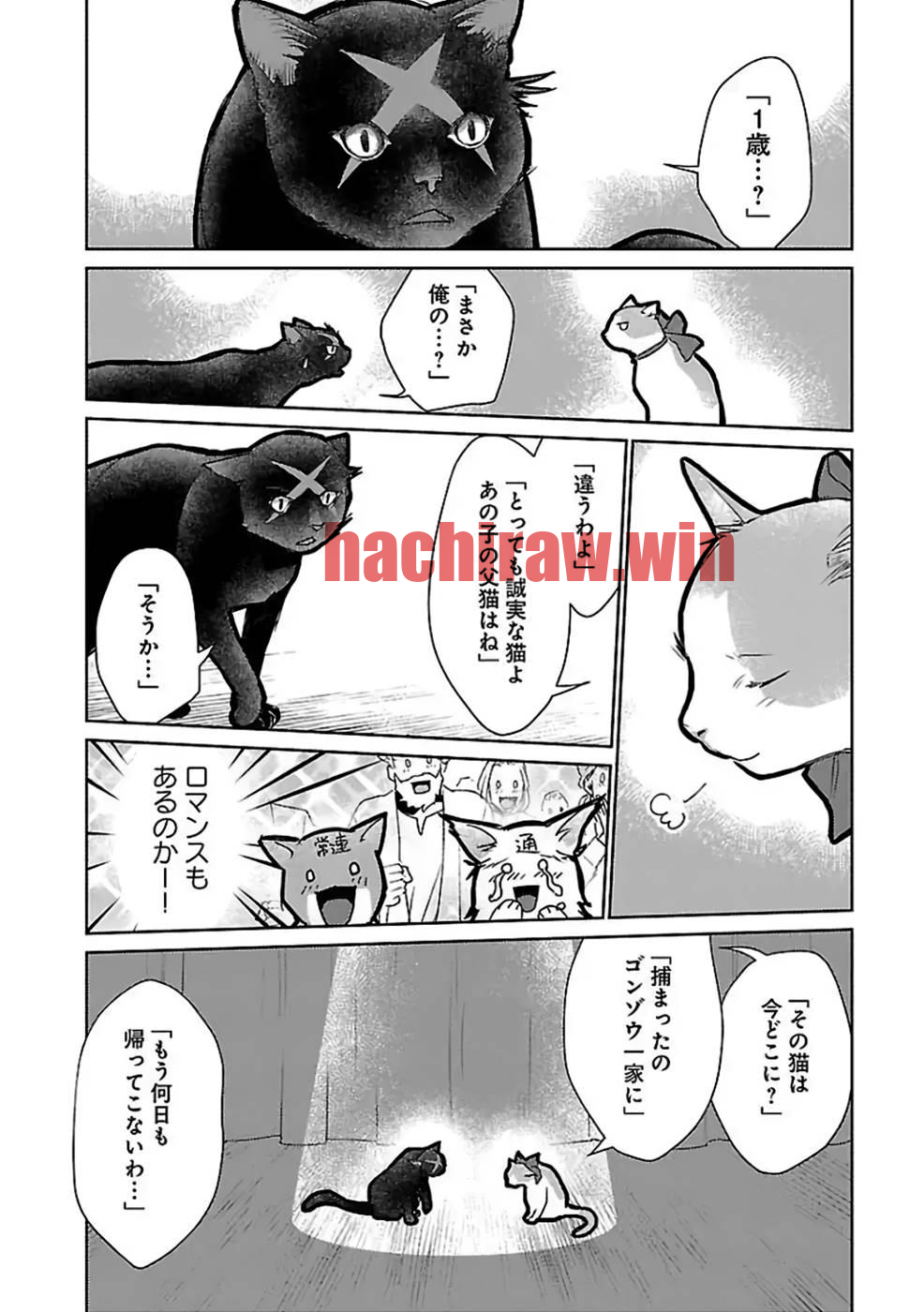 img 9