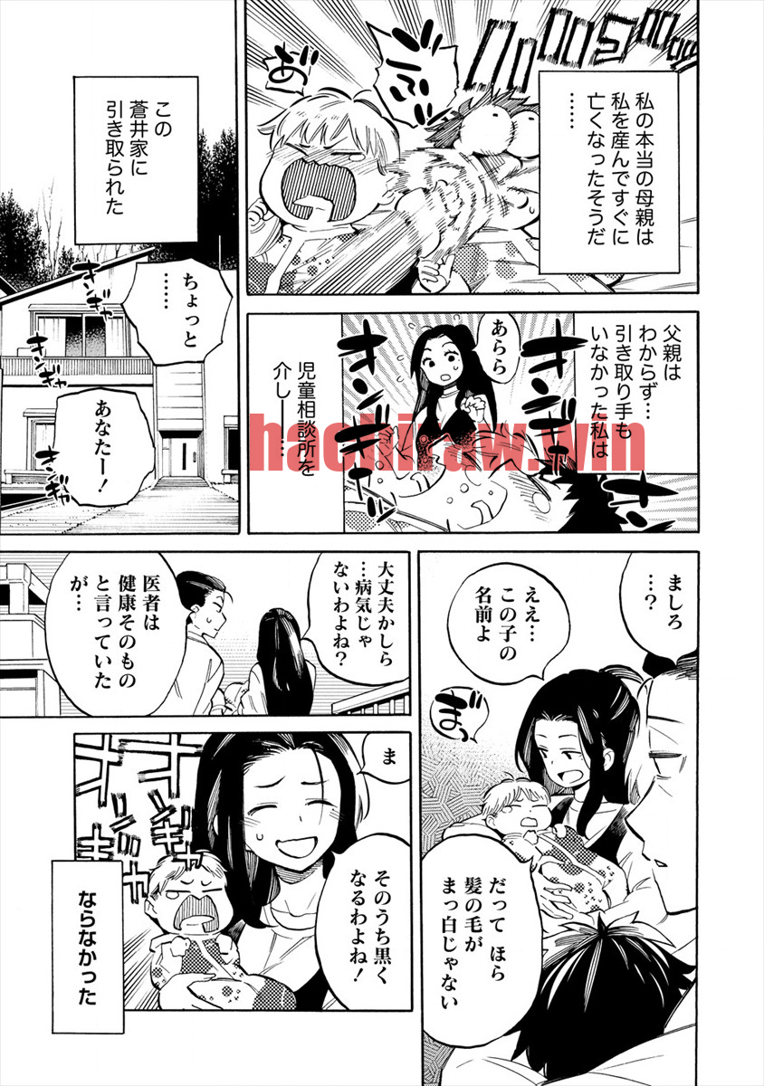 img 6