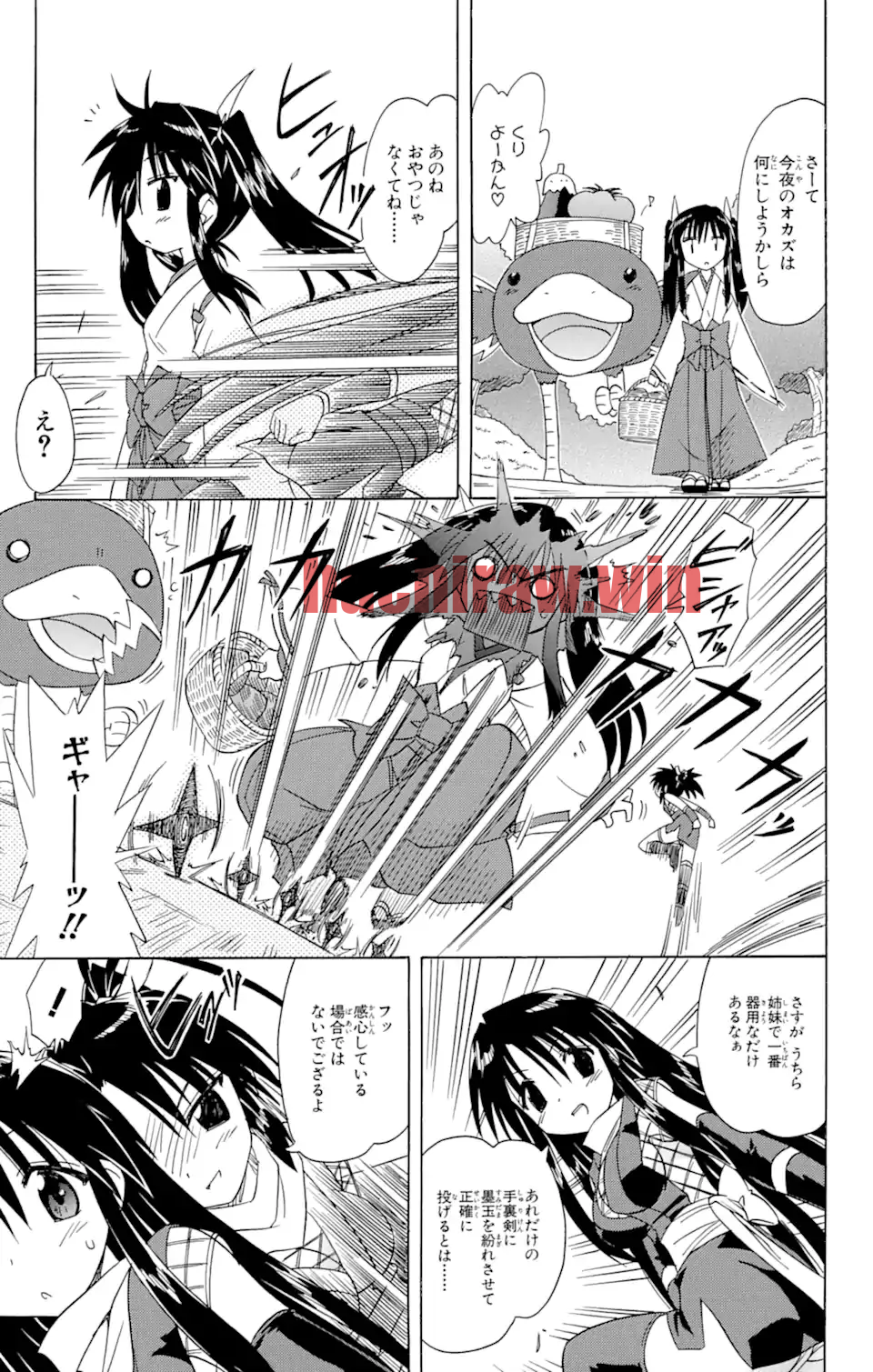 img 14