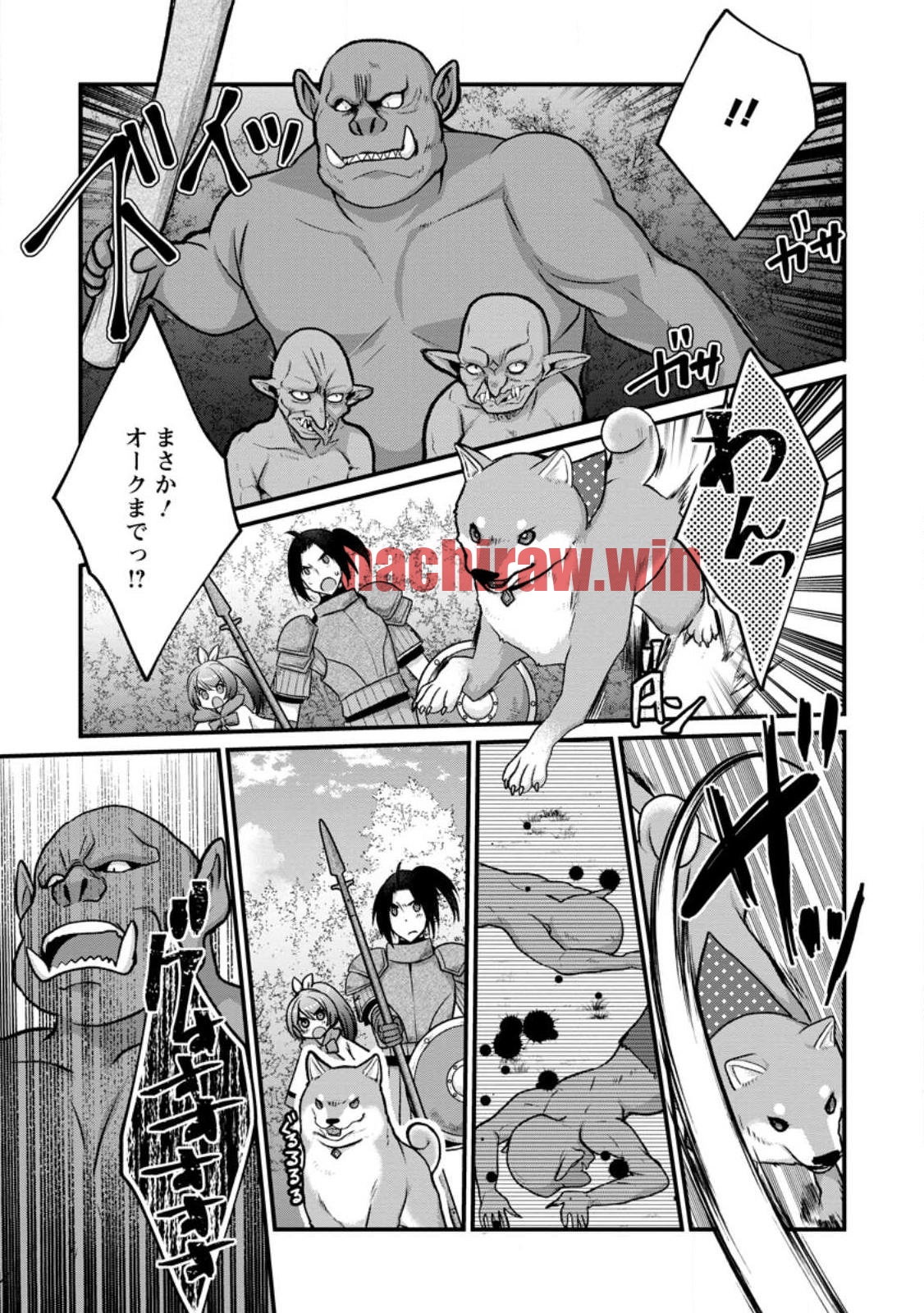 img 26