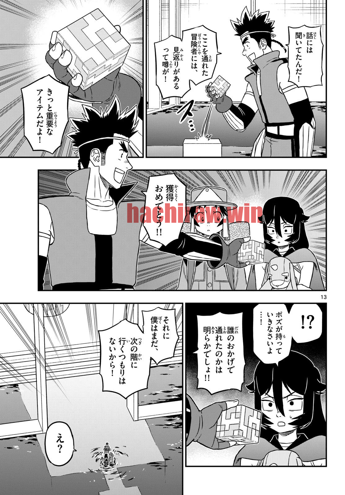 img 13