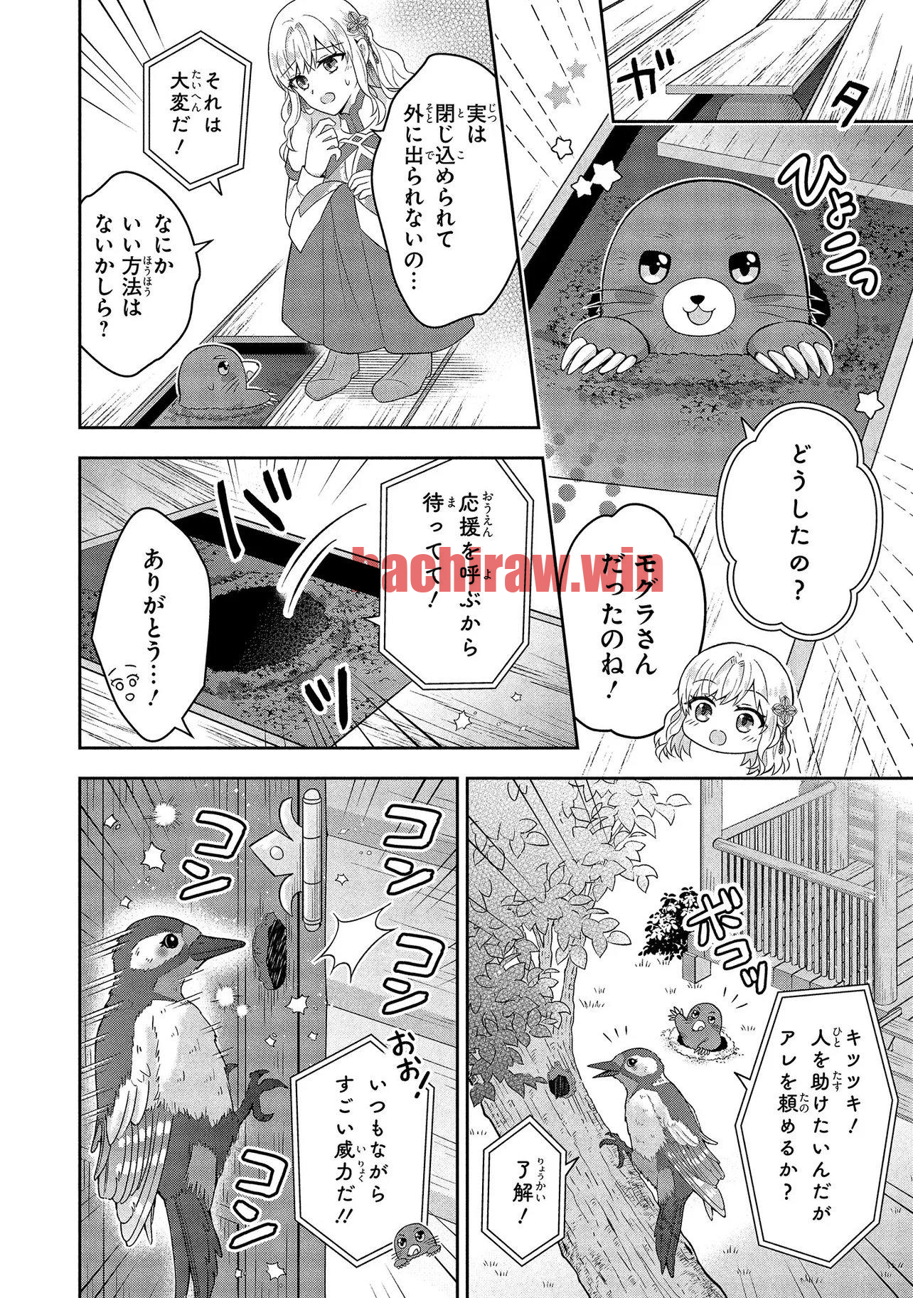 img 6