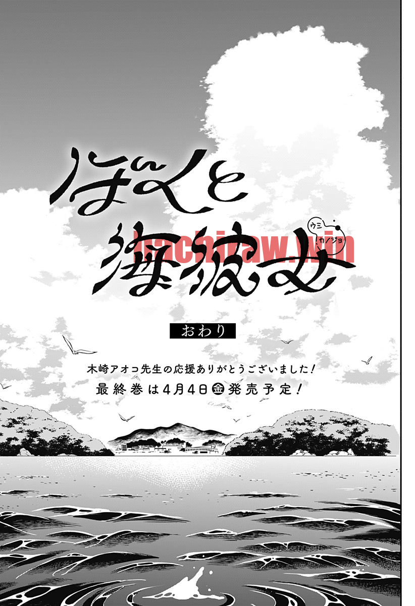 img 19