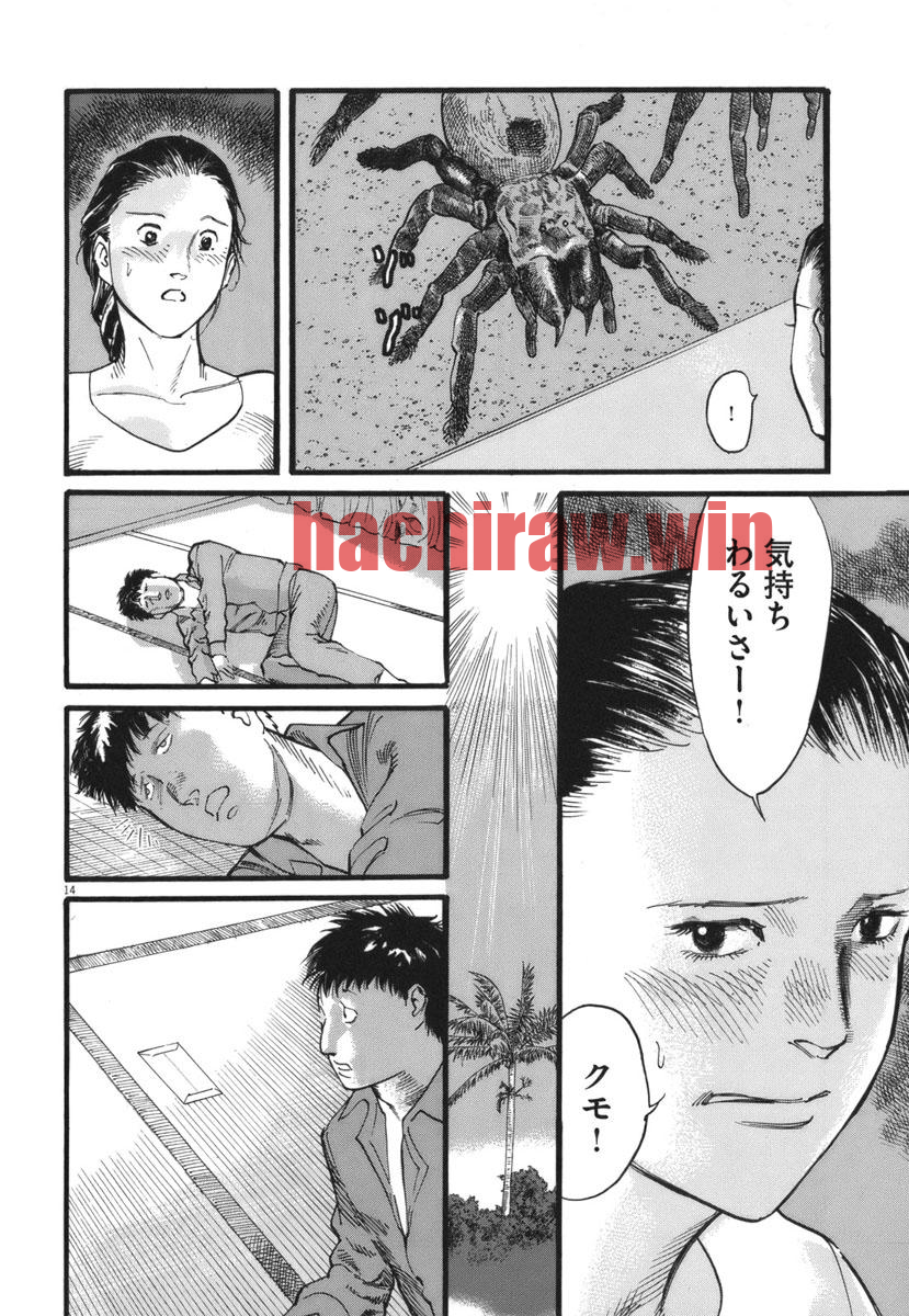 img 13