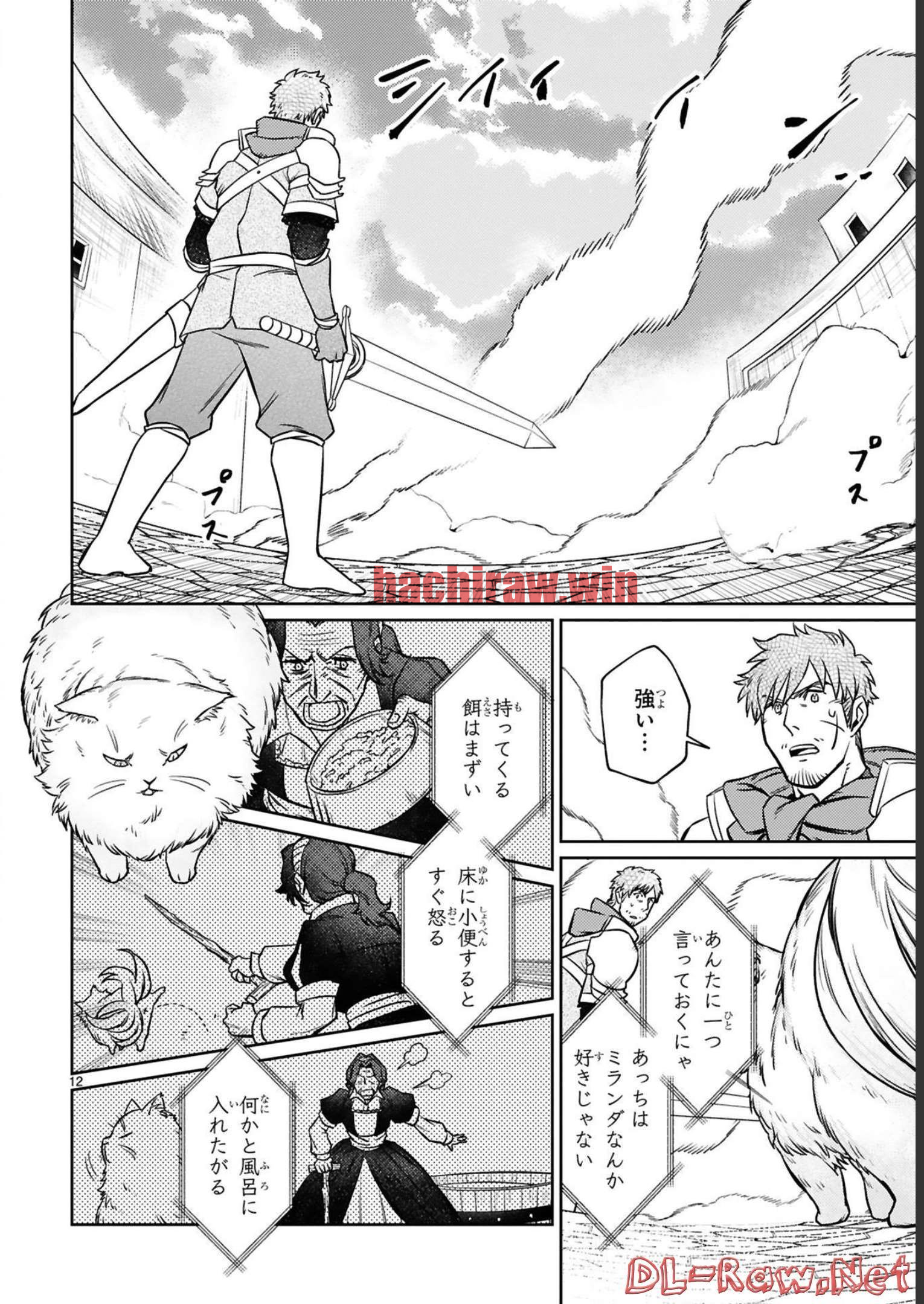 img 11