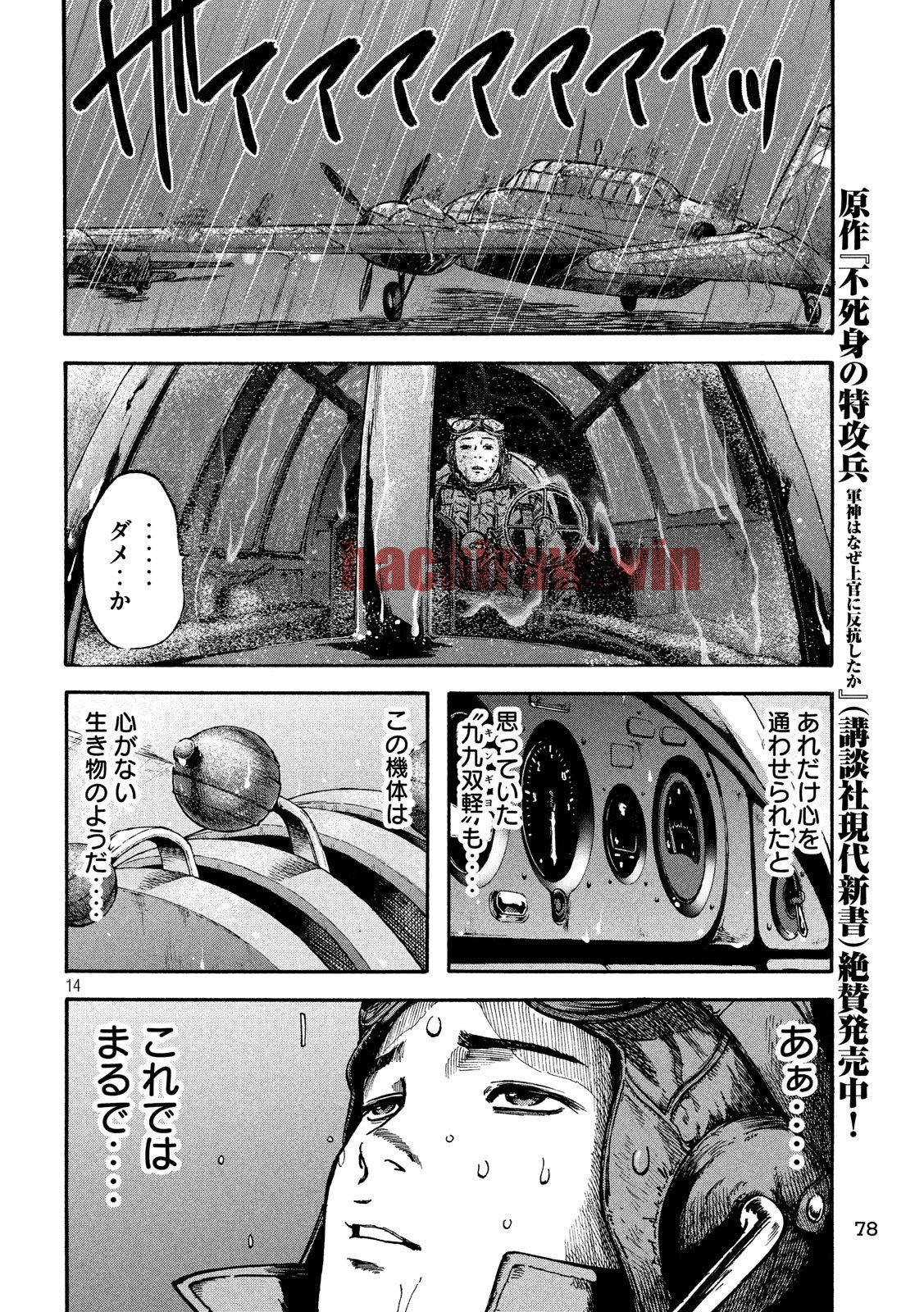 img 13