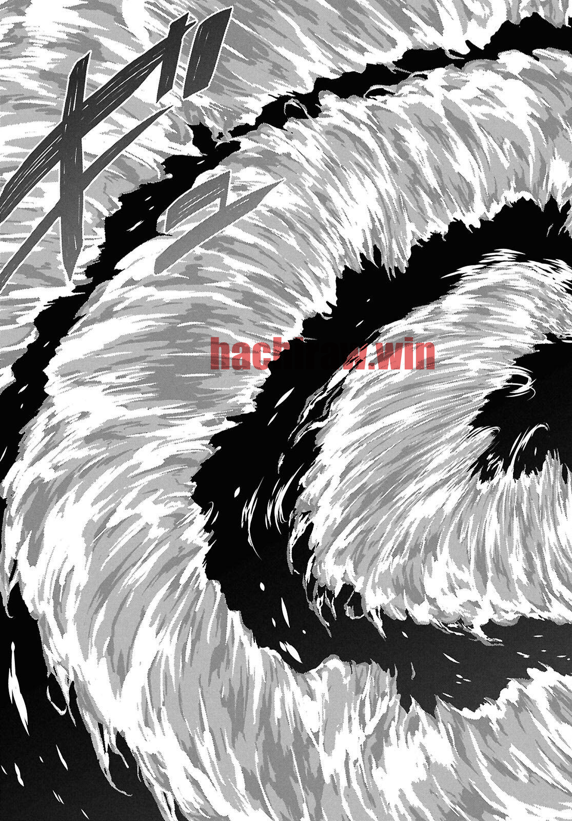 img 26