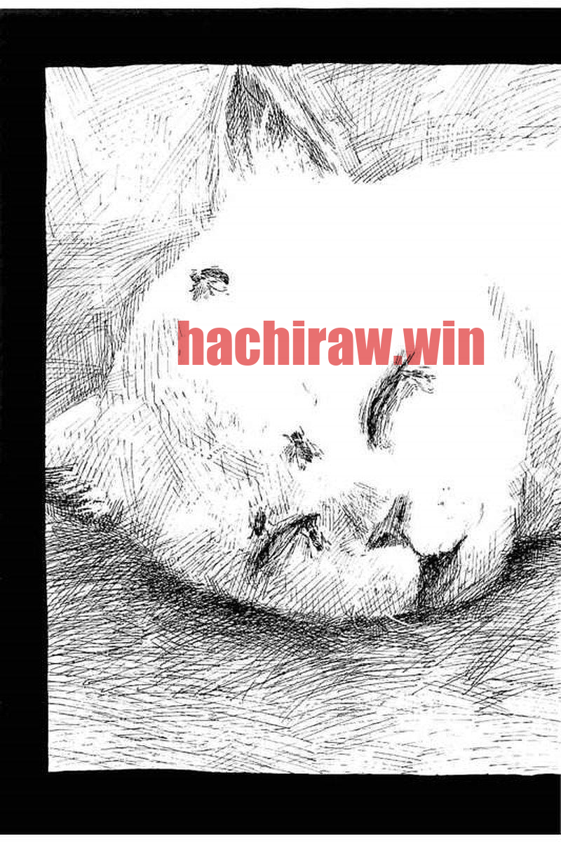 img 47