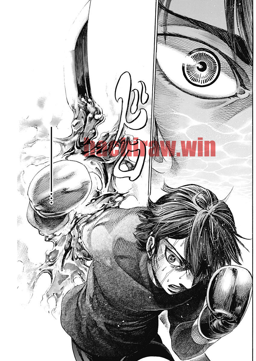 img 12
