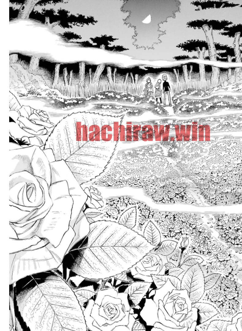 img 16