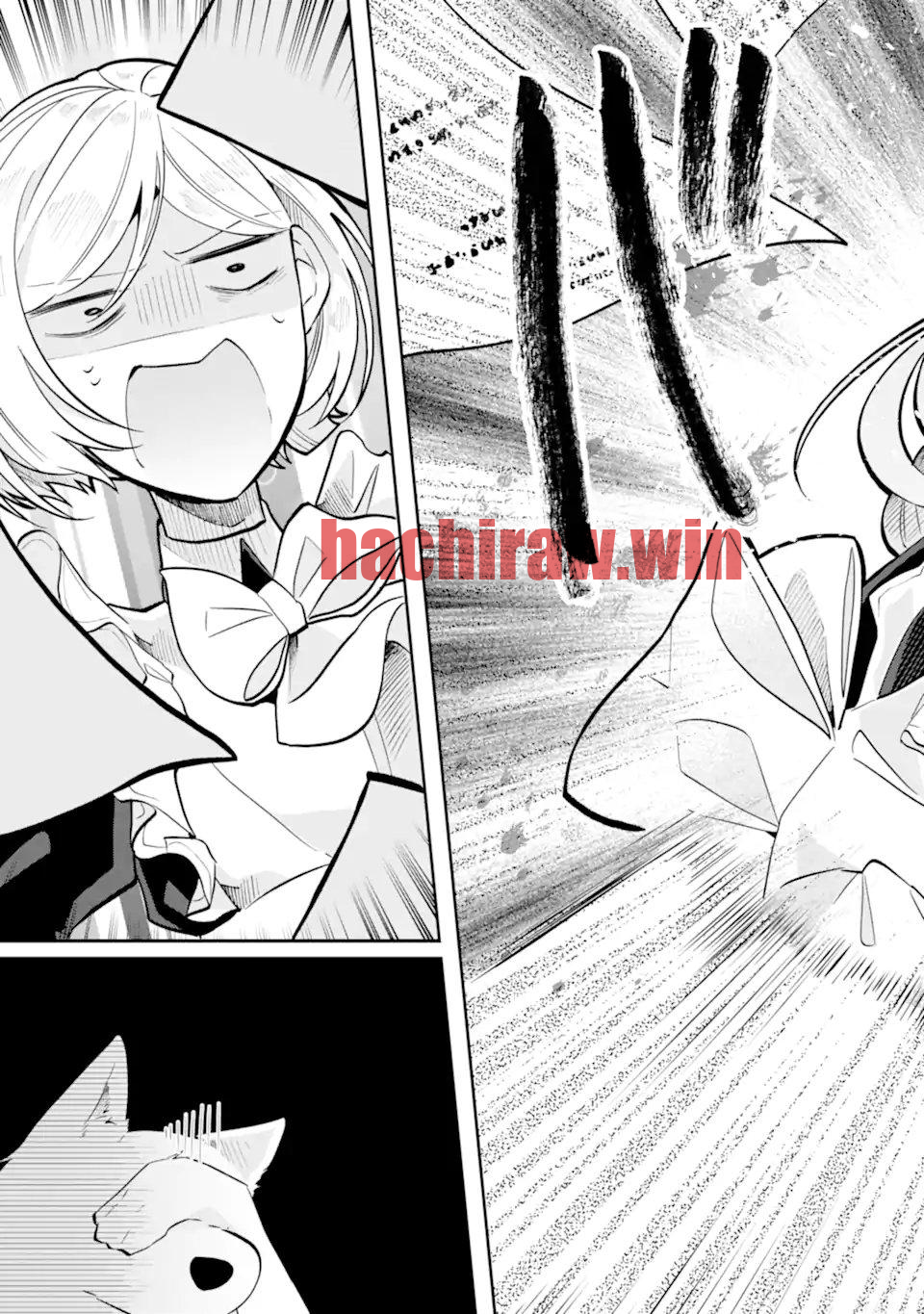 img 4