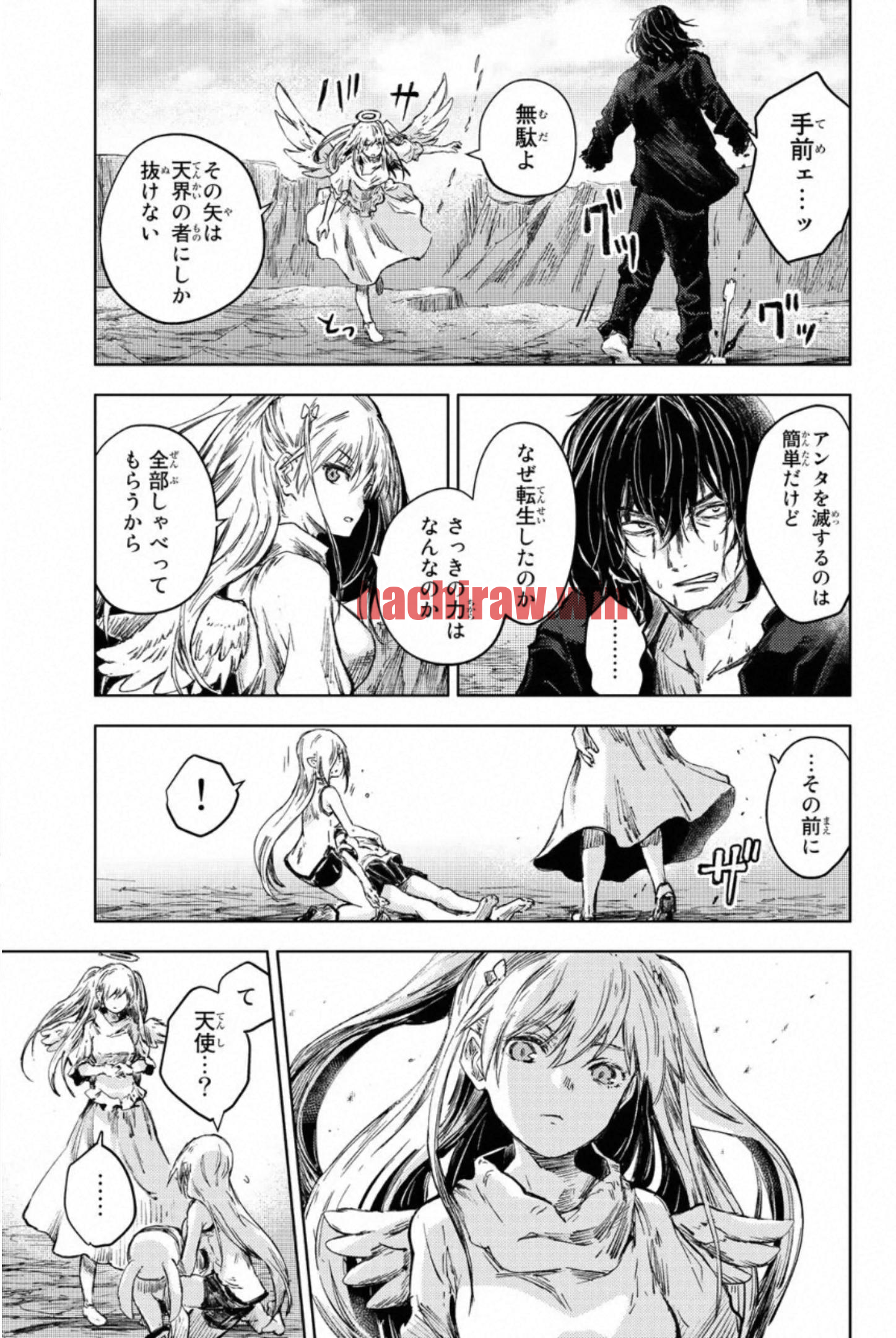 img 8