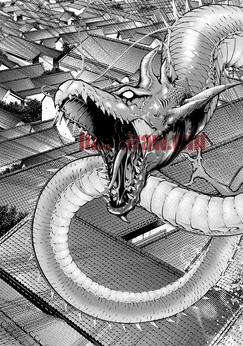 img 20