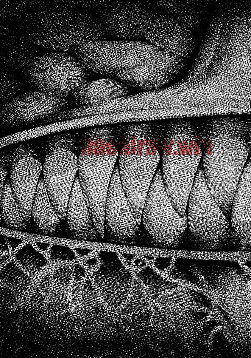 img 6