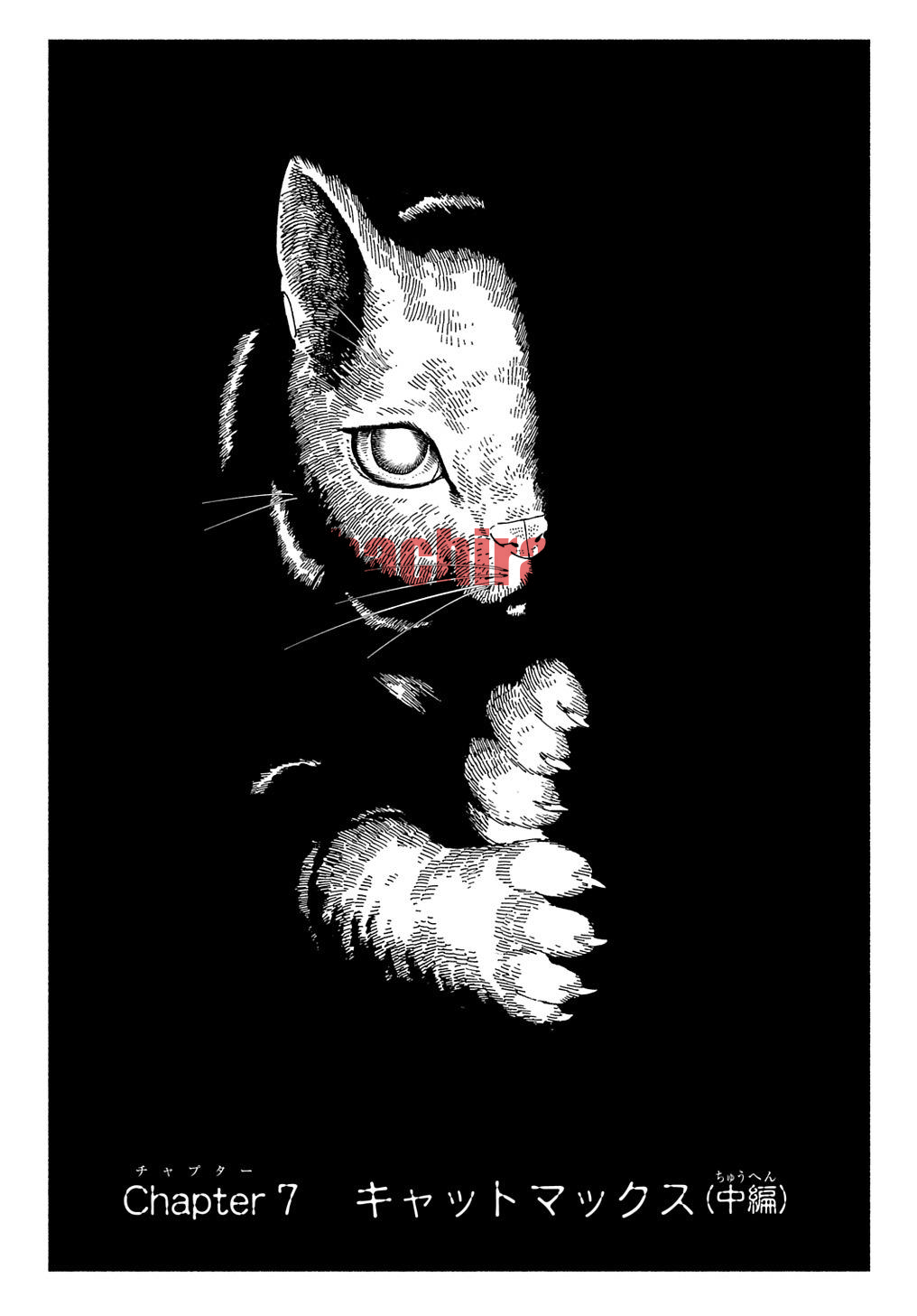 img 0