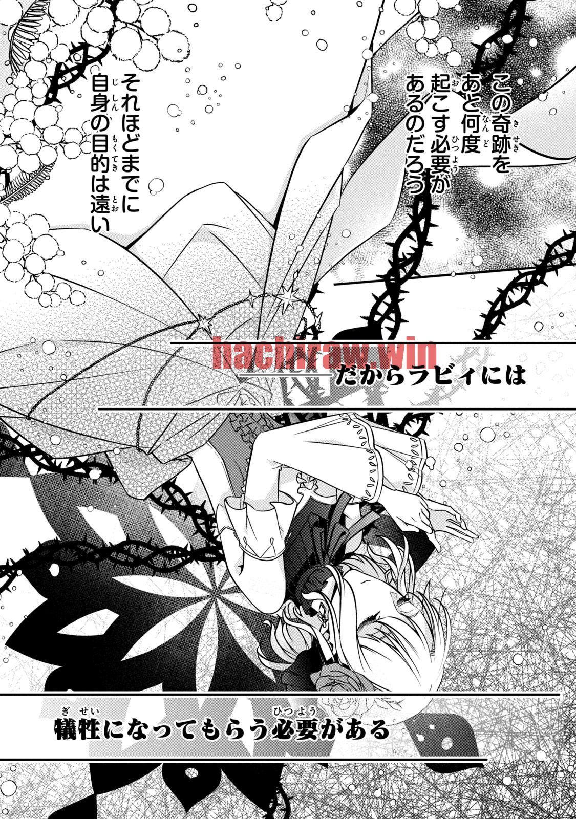 img 12