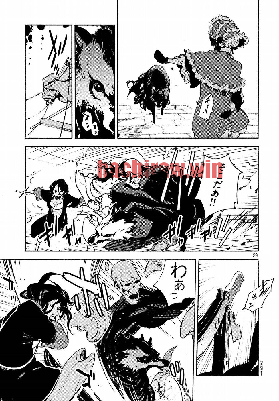 img 29