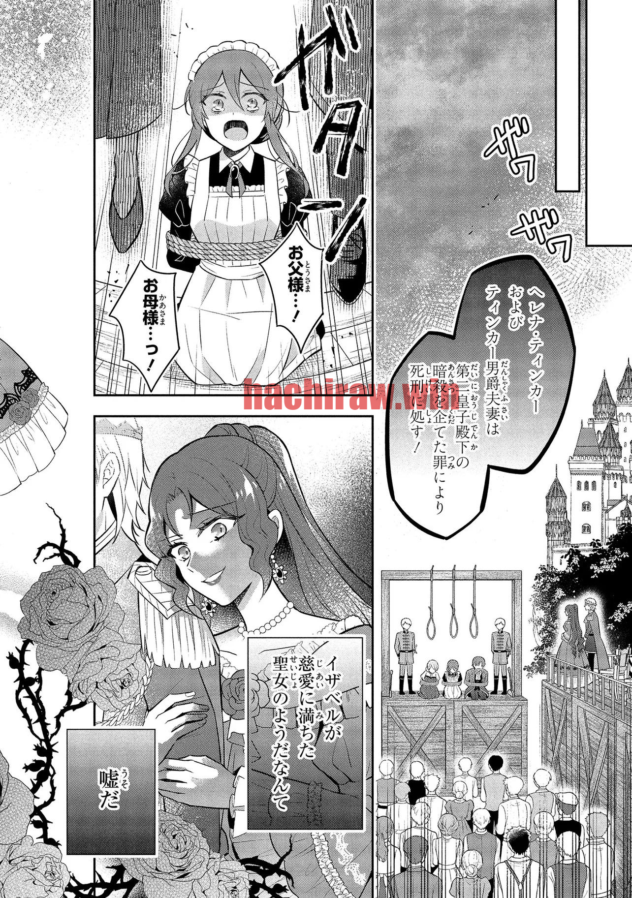 img 17