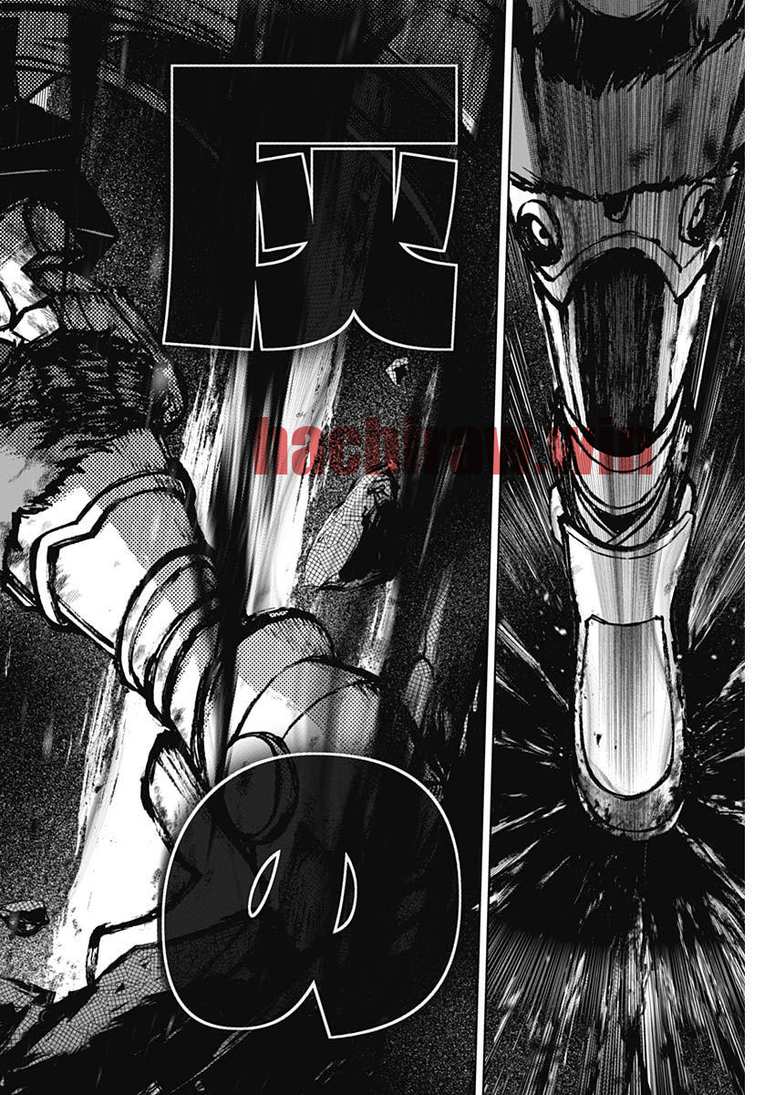 img 15