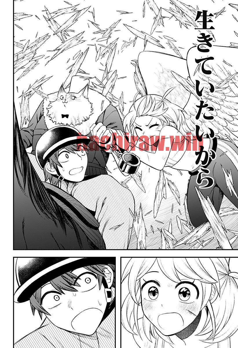 img 3