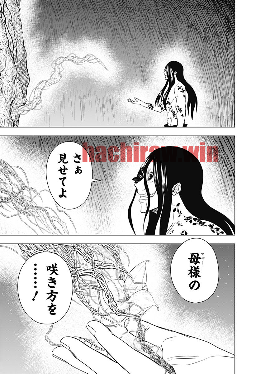 img 14