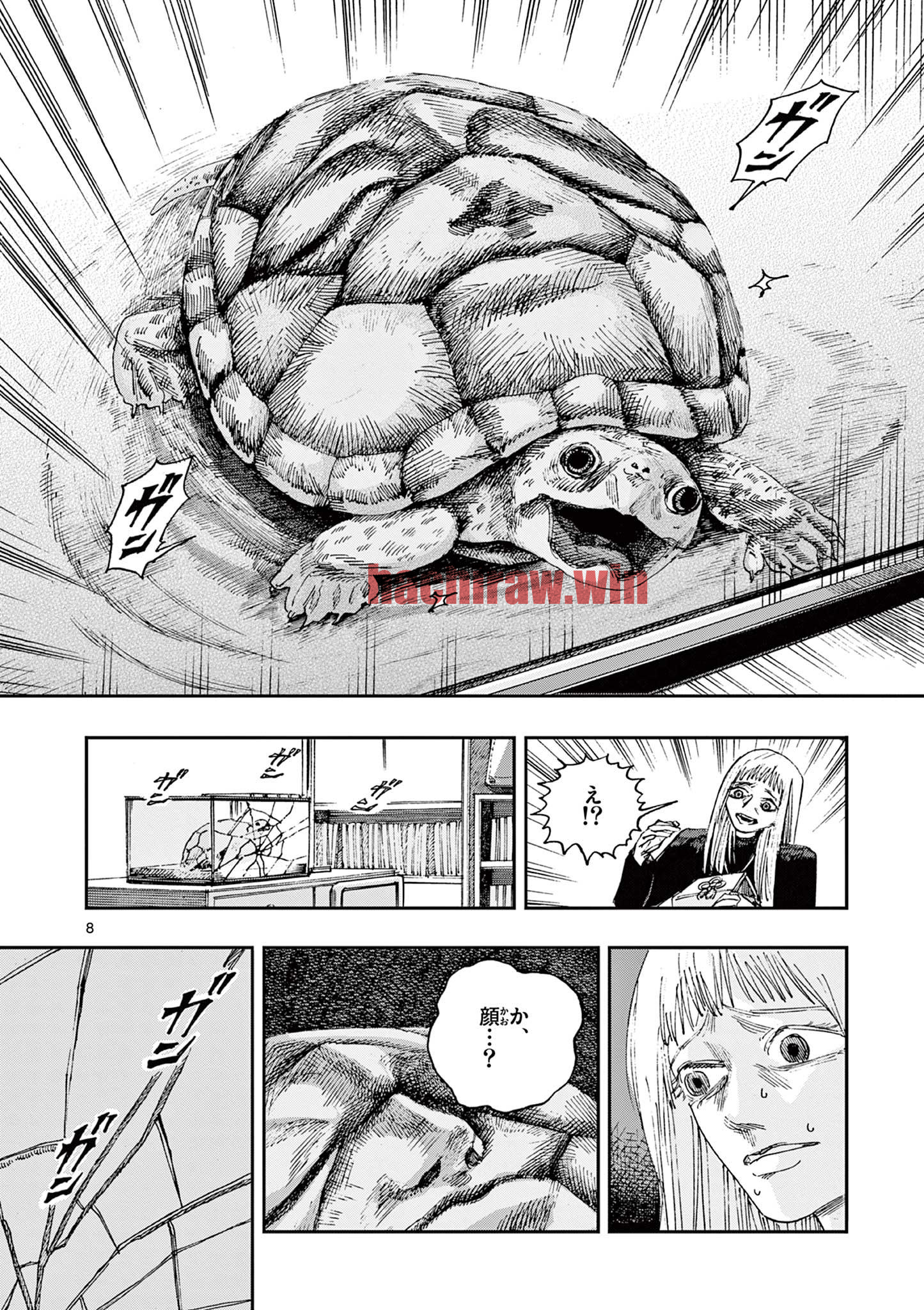 img 7