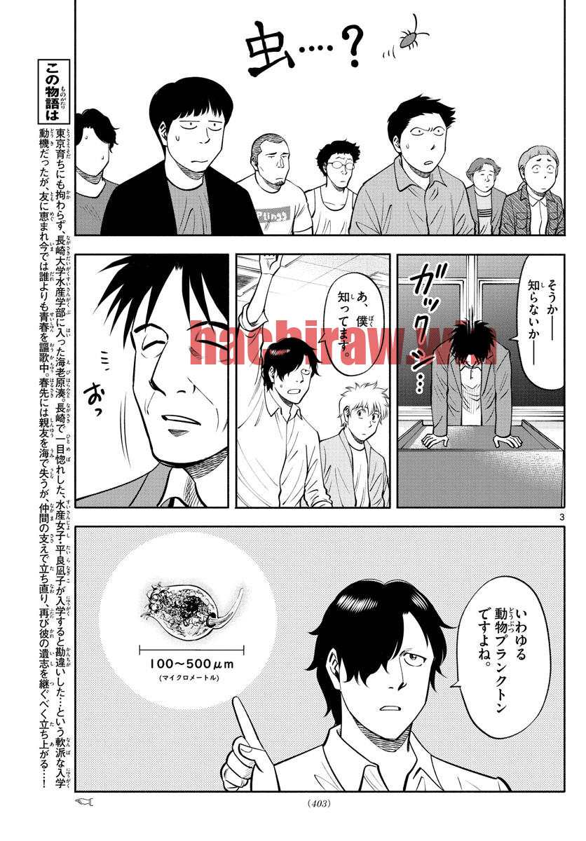img 2