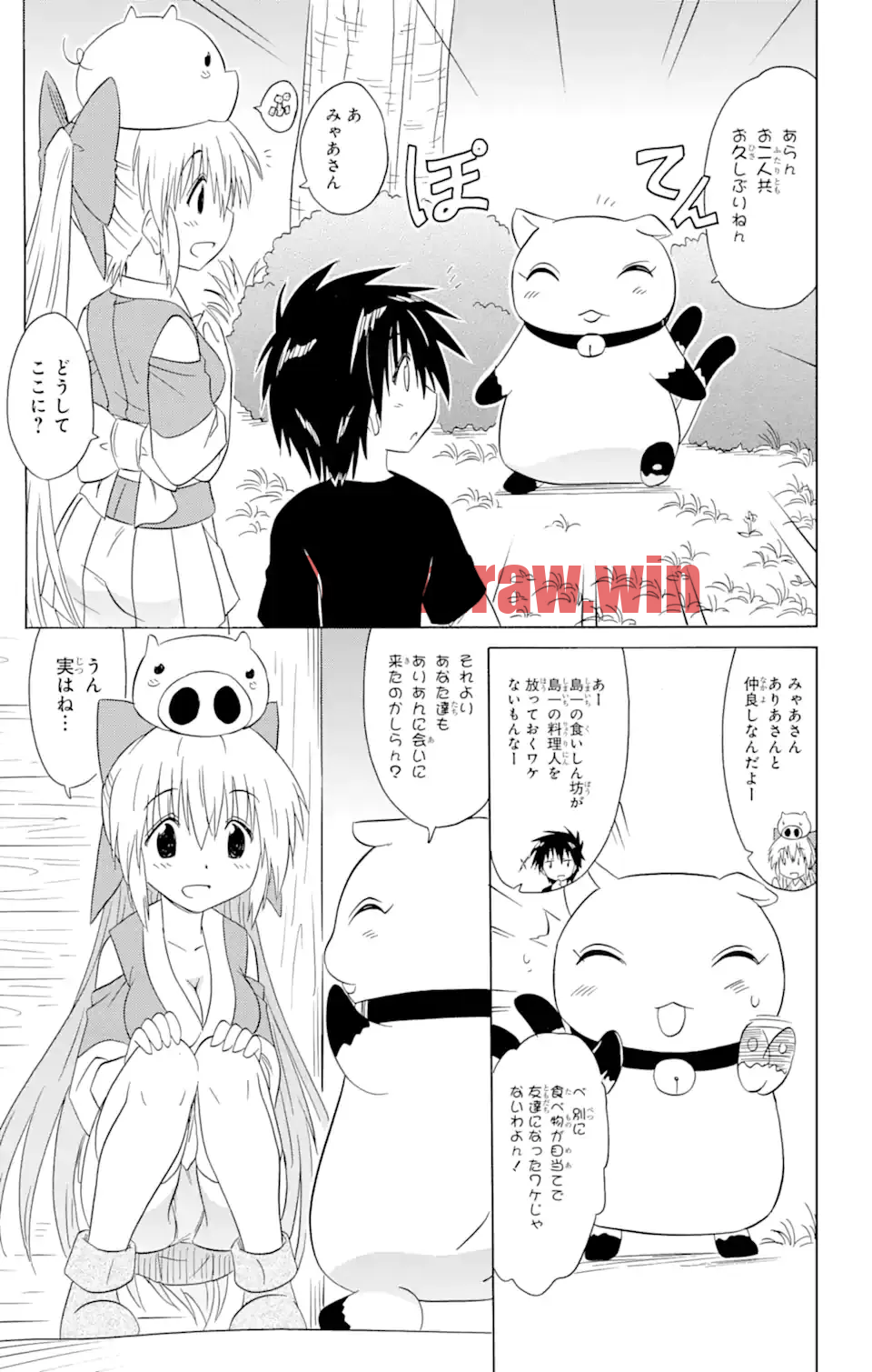 img 20