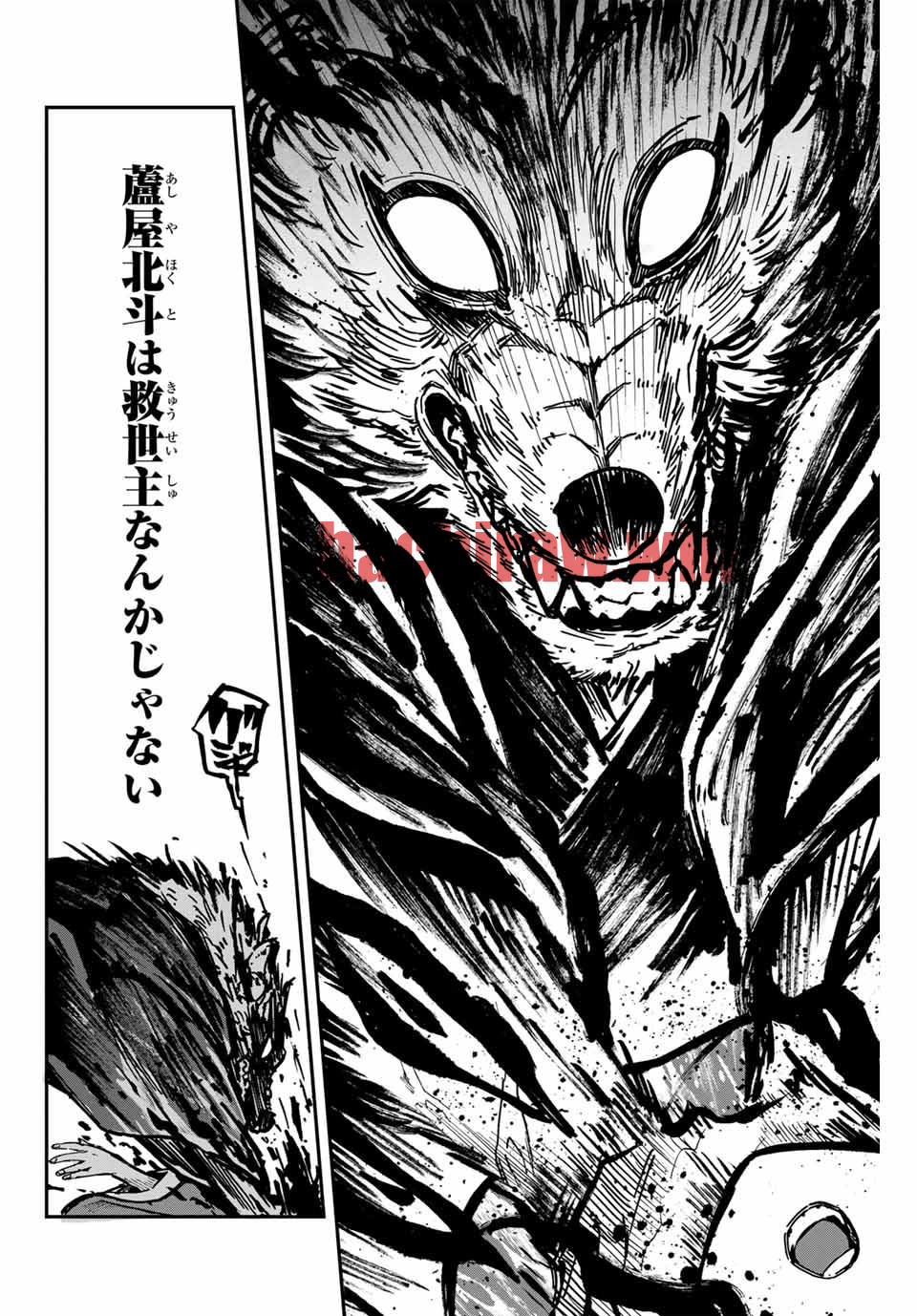 img 7