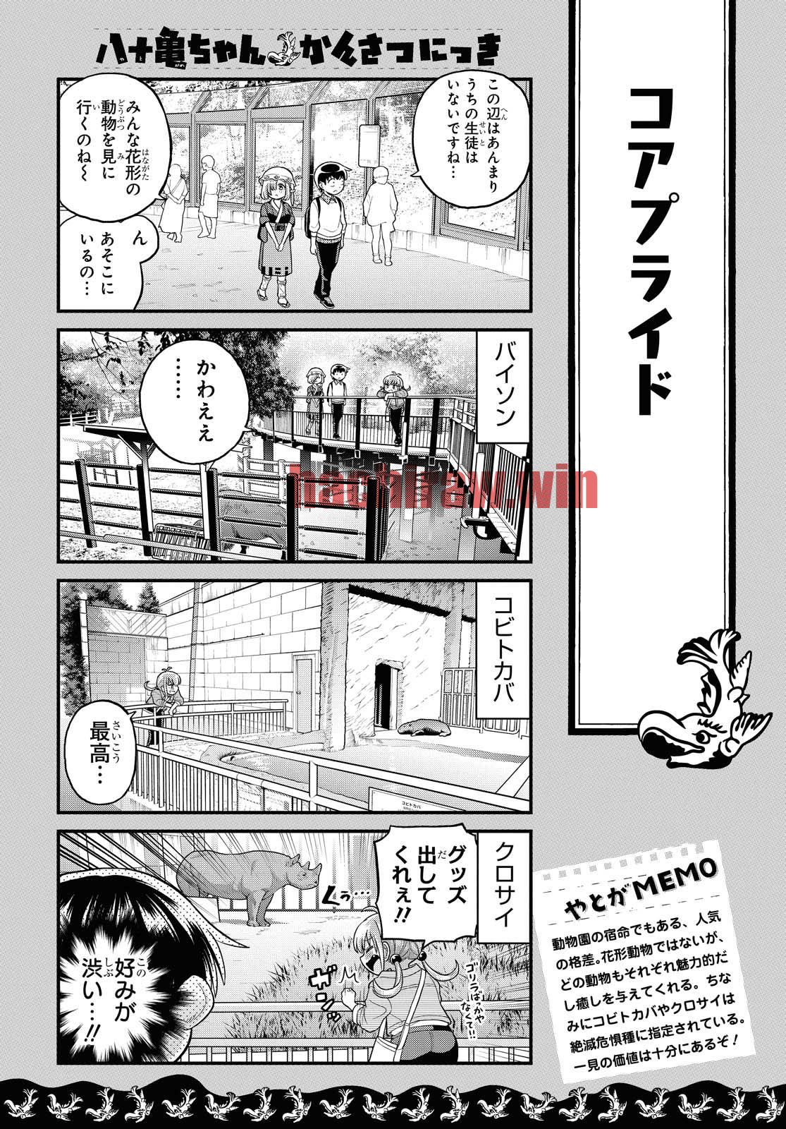 img 13