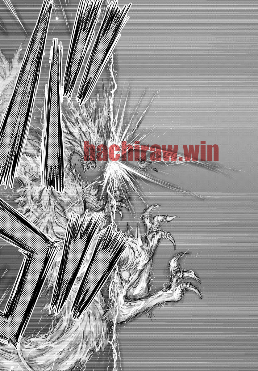 img 25