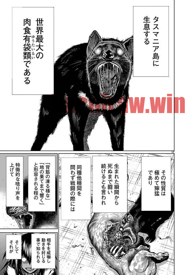 img 16