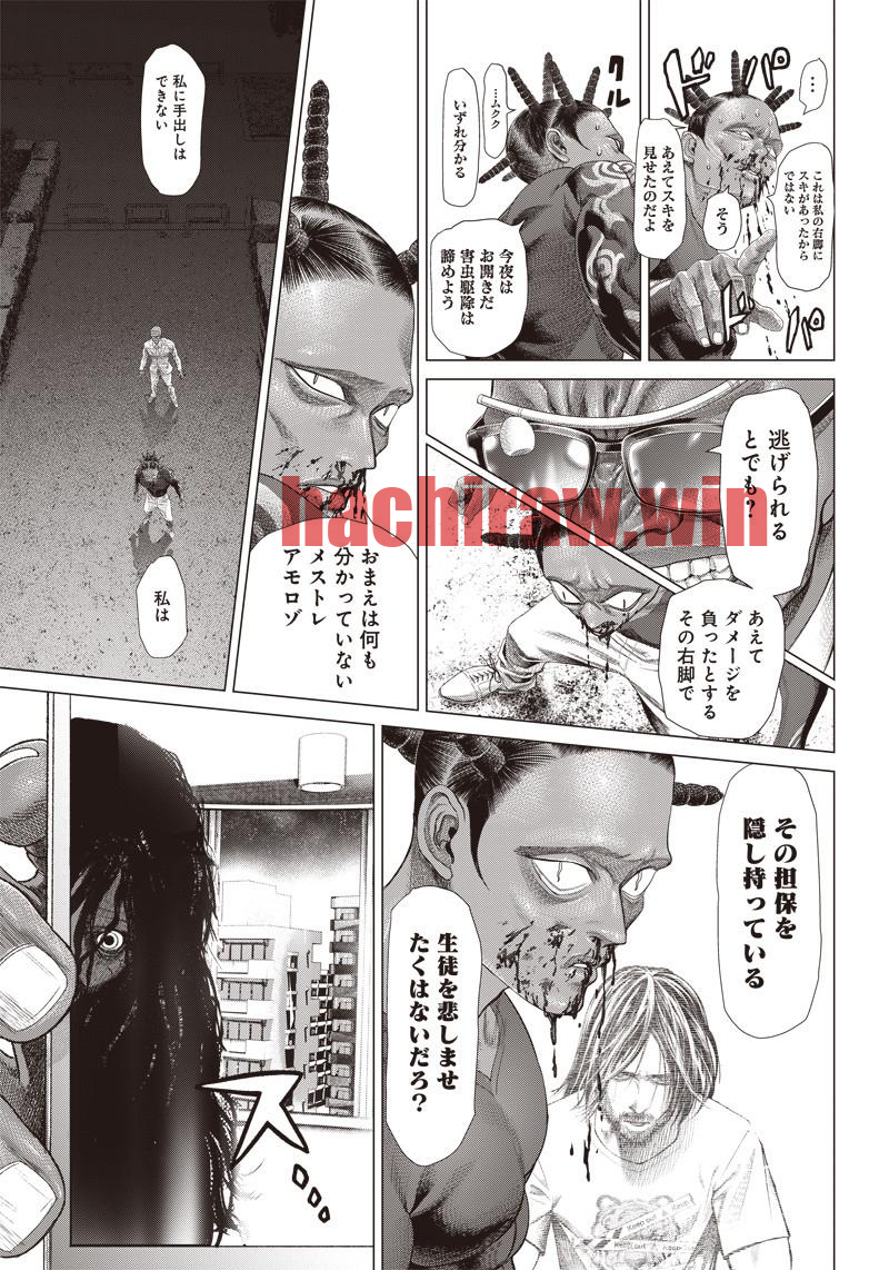 img 9