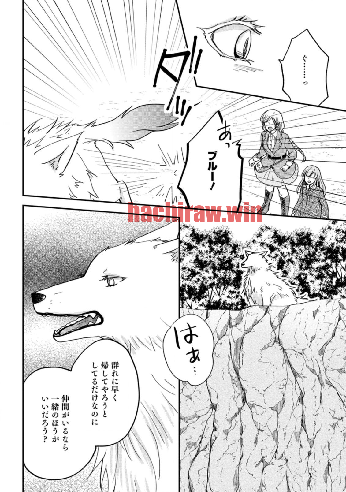 img 5