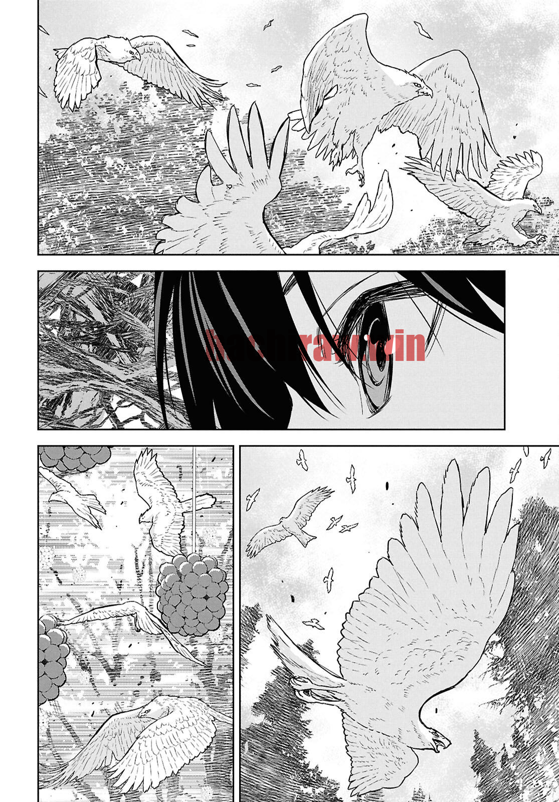 img 20