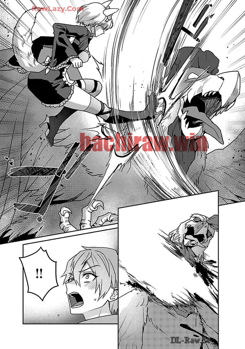 img 3
