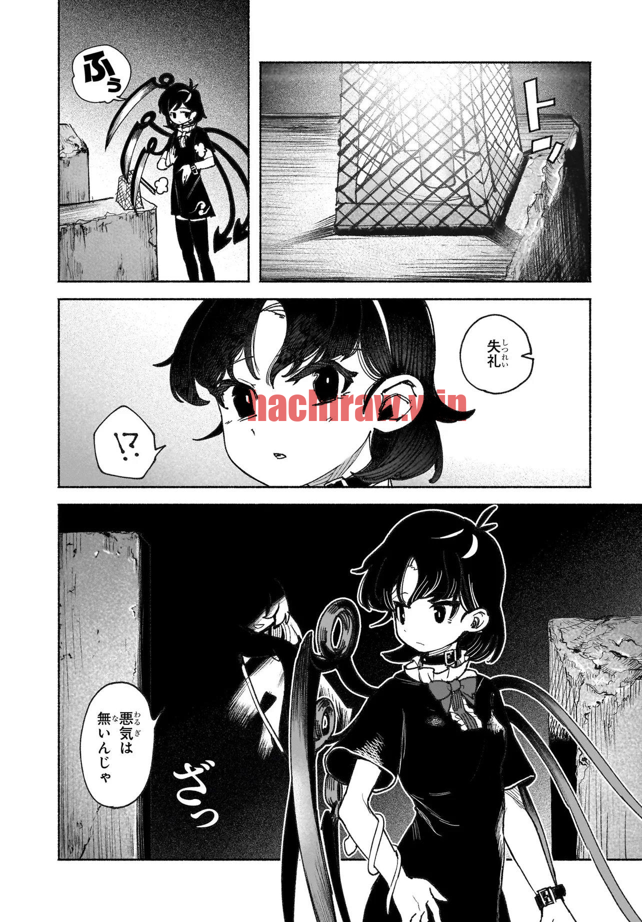 img 5