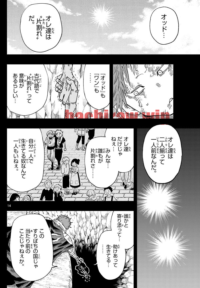 img 13