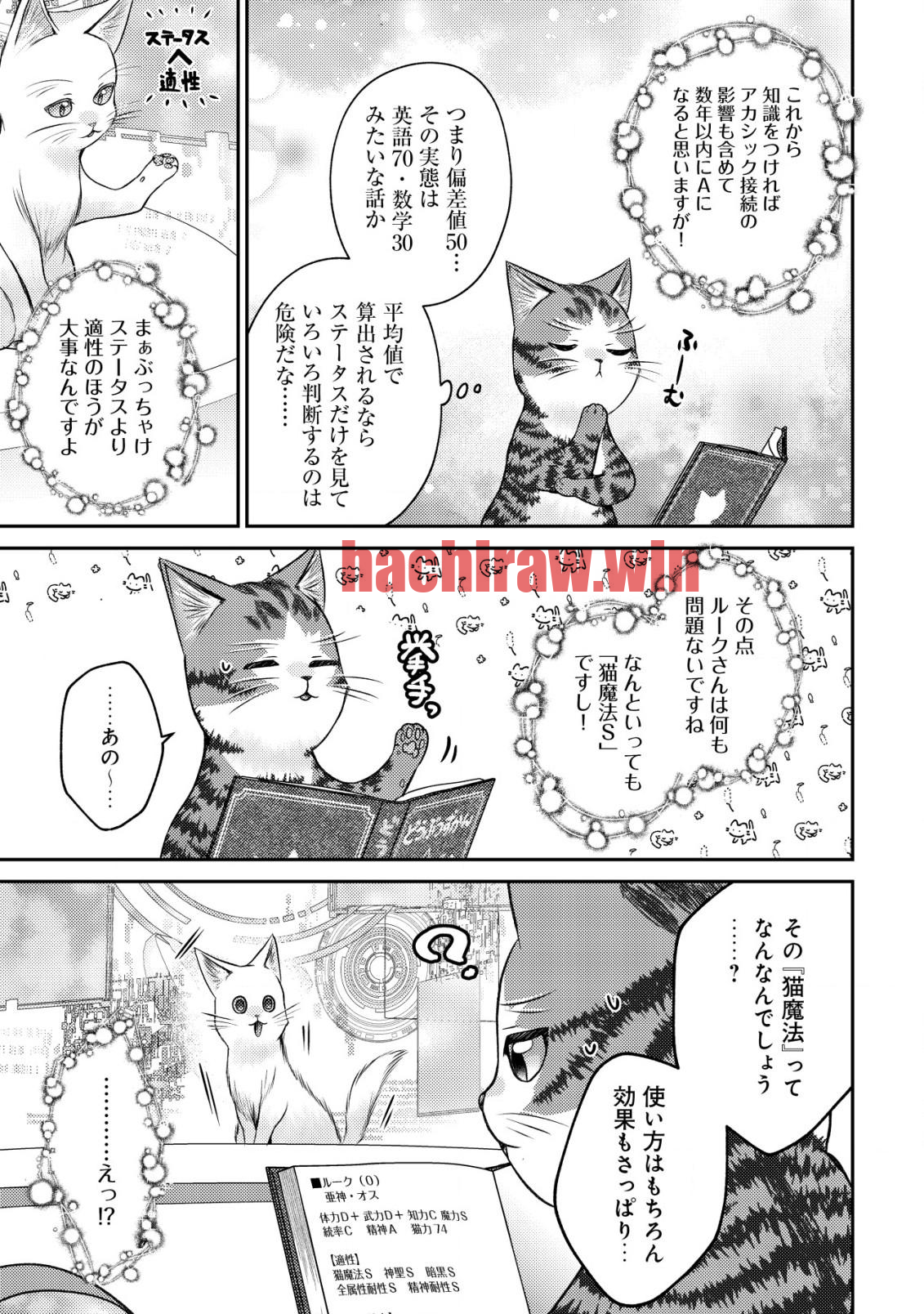 img 3