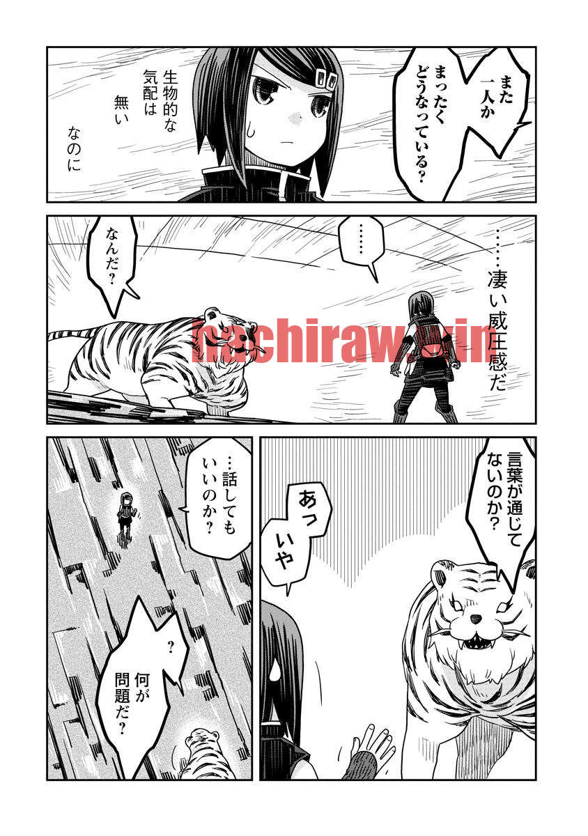 img 9