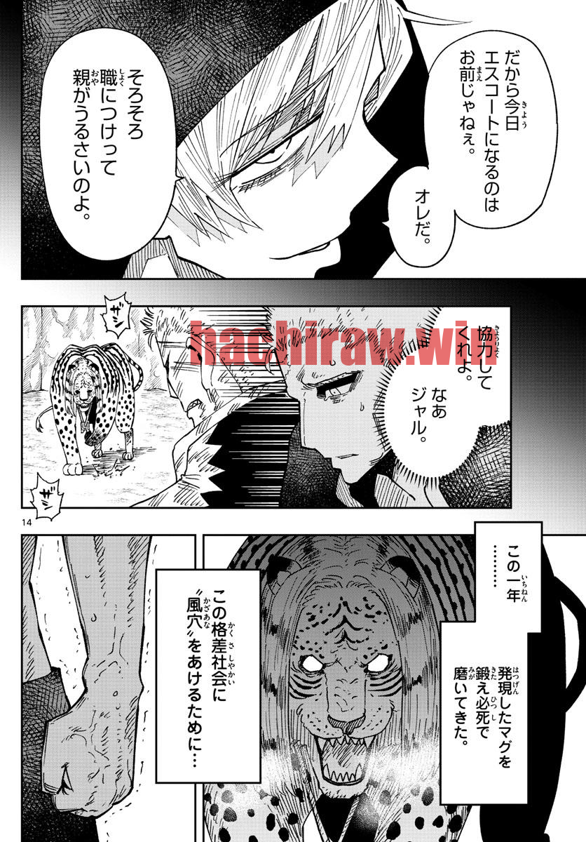 img 13