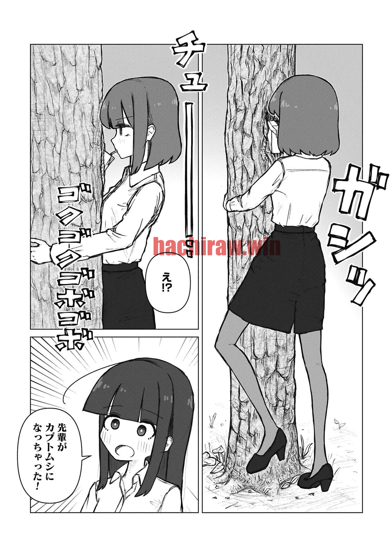 img 6