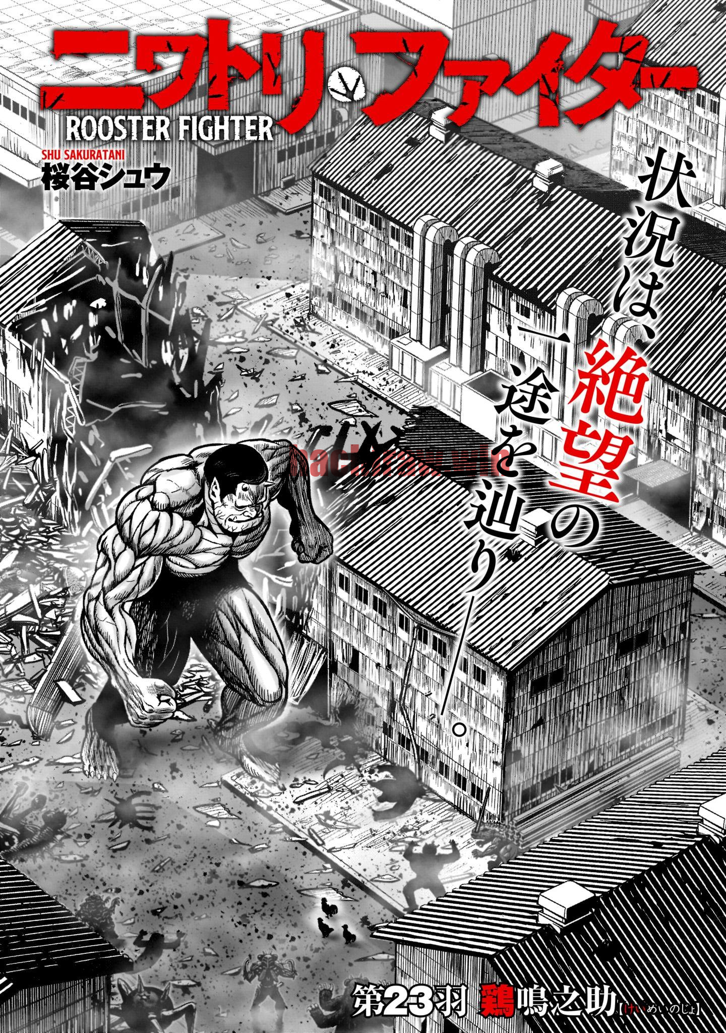 img 1