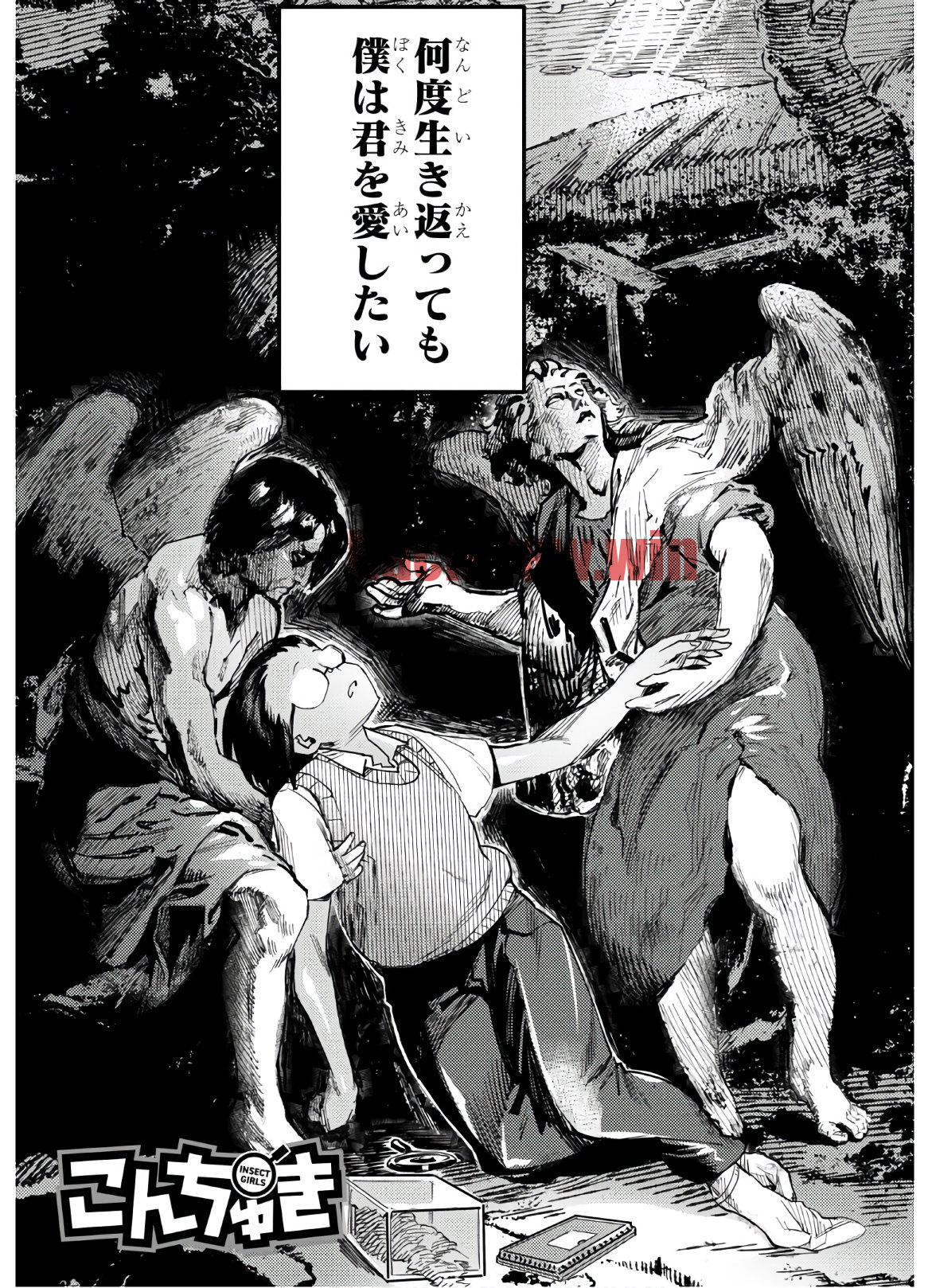img 0