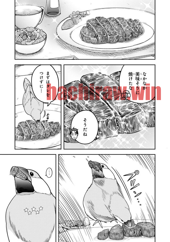 img 9