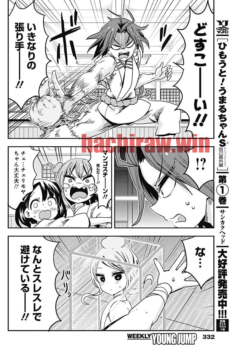img 11
