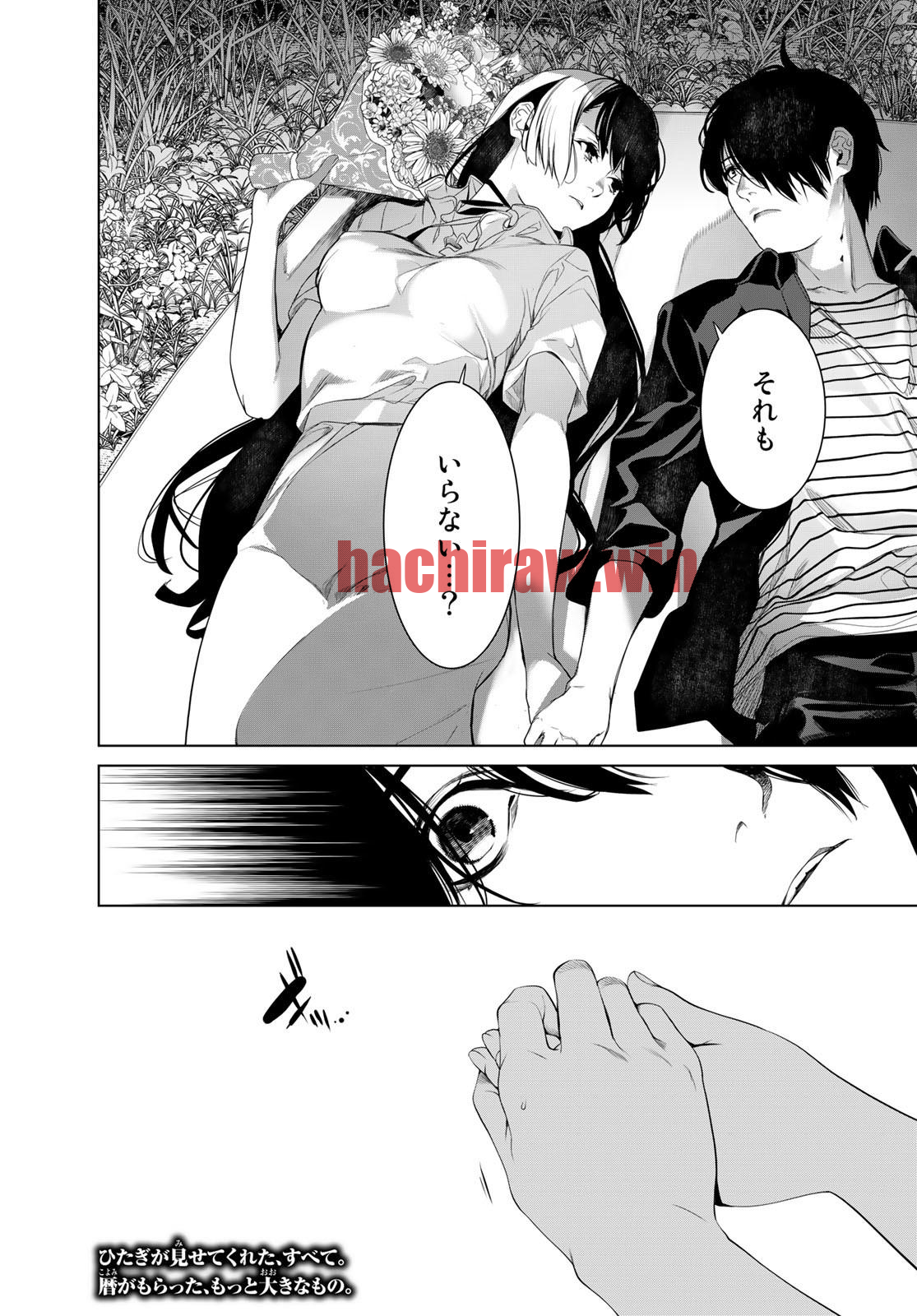 img 19